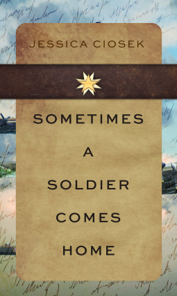 book cover for Sometimes a Soldier Comes Home