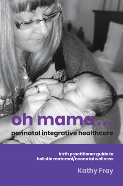 book cover for Oh Mama … Perinatal Integrative Healthcare