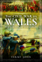Cover Image: The Civil War in Wales