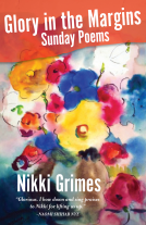 book cover for Glory in the Margins