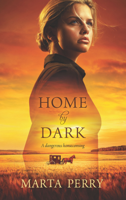 book cover for Home by Dark