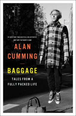 book cover for Baggage