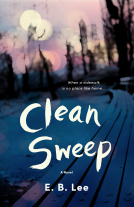 book cover for Clean Sweep