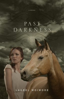 book cover for Past Darkness