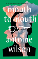 book cover for Mouth to Mouth