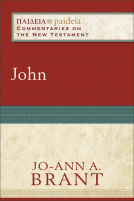 book cover for John