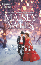 book cover for Rancher's Christmas Storm