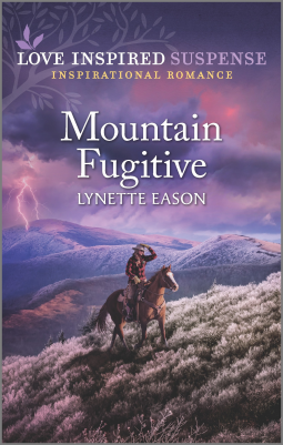 book cover for Mountain Fugitive