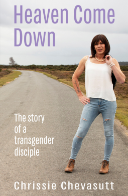 book cover for Heaven Come Down