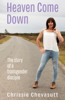 book cover for Heaven Come Down