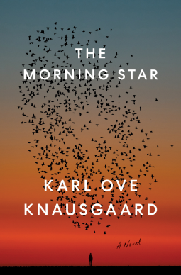 book cover for The Morning Star