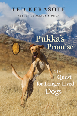 book cover for Pukka's Promise