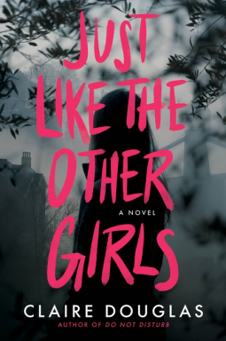 book cover for Just Like The Other Girls