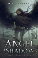 book cover for Angel of Shadow