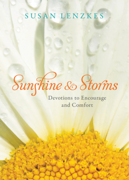 book cover for Sunshine and Storms