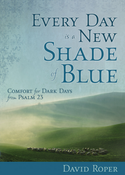 book cover for Every Day Is a New Shade of Blue