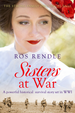 book cover for Sisters at War