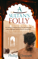 book cover for A Sultan's Folly