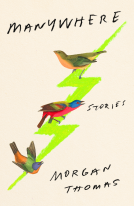 book cover for Manywhere