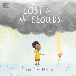 book cover for Lost in the Clouds