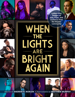 book cover for When the Lights Are Bright Again