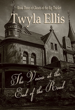 book cover for The Voices at the End of the Road