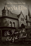 book cover for The Voices at the End of the Road