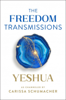 book cover for The Freedom Transmissions
