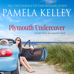 book cover for Plymouth Undercover