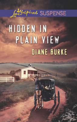 book cover for Hidden in Plain View