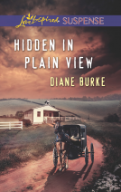 book cover for Hidden in Plain View