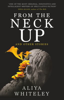 book cover for From the Neck Up and Other Stories