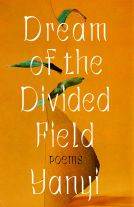 book cover for Dream of the Divided Field