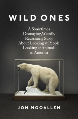 book cover for Wild Ones