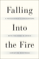book cover for Falling Into the Fire