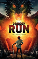 book cover for Dragon Run