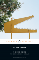 book cover for A Childhood
