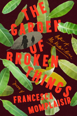 book cover for The Garden of Broken Things