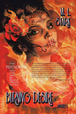 book cover for Burning Desire