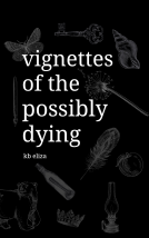 book cover for Vignettes of the Possibly Dying