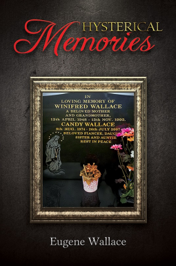 book cover for Hysterical Memories