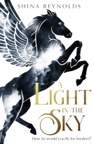 book cover for A Light in the Sky