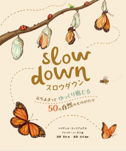 スロウダウン 表紙