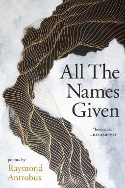 book cover for All The Names Given