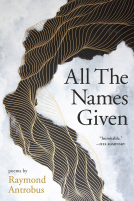 book cover for All The Names Given