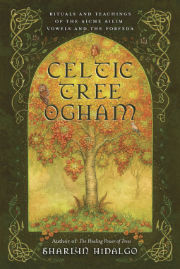 book cover for Celtic Tree Ogham