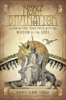 book cover for Norse Divination