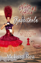 book cover for Rabbithole
