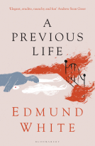 book cover for A Previous Life