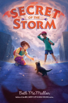 book cover for Secret of the Storm